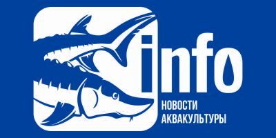 fish-info.ru.jpg